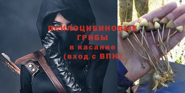 СК Верхний Тагил