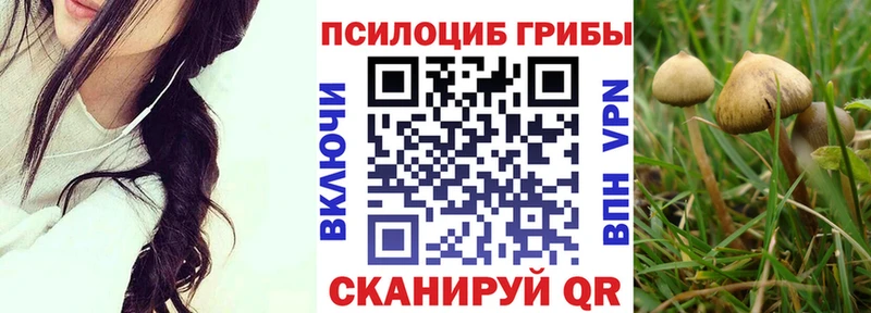 hydra онион  Катав-Ивановск  Галлюциногенные грибы мицелий 